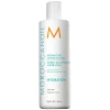 Moroccanoil Après-shampooing hydratant 250 ml Best