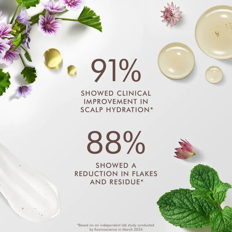 Moroccanoil Après-shampooing équilibrant cuir chevelu Discount