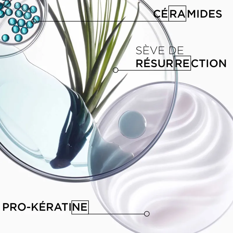 Kérastase Bain Force Architecte Résistance 250 ml Best