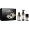 L’Oréal Professionnel Paris Coffret Absolut Repair Molecular édition limitée Meteora Online