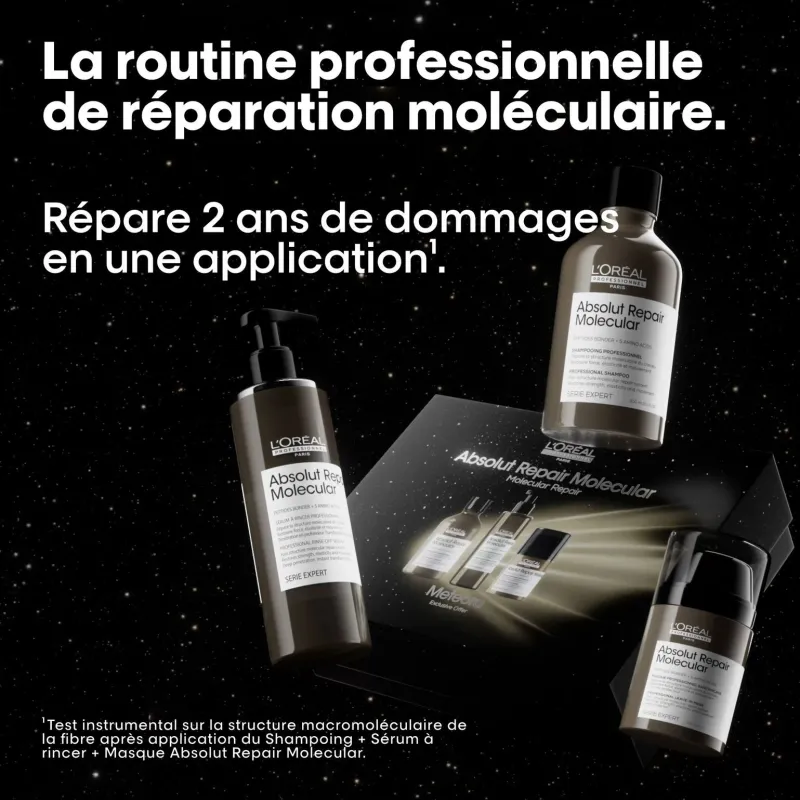 L’Oréal Professionnel Paris Coffret Absolut Repair Molecular édition limitée Meteora Online
