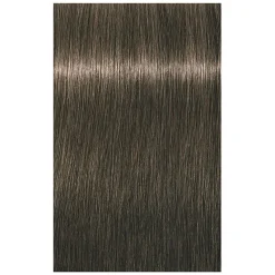 Schwarzkopf Professional Coloration permanente Igora Royal 6-1 blond foncé cendré Sale