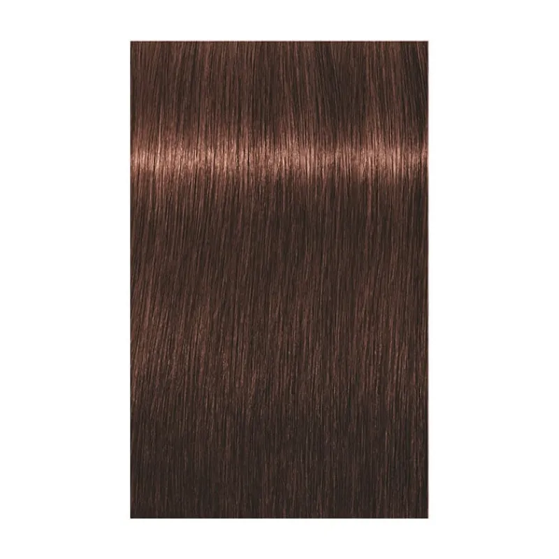 Schwarzkopf Professional Coloration permanente Igora Royal 5-68 châtain clair chocolat rouge Discount