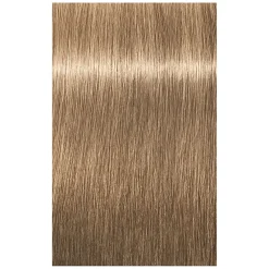 Schwarzkopf Professional Coloration permanente Igora Royal 8-0 blond clair naturel Sale