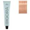 Schwarzkopf Professional Coloration permanente Igora Royal 12-46 spécial blonde beige chocolat Sale