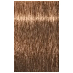 Schwarzkopf Professional Coloration permanente Igora Royal 7-65 blond chocolat doré Online
