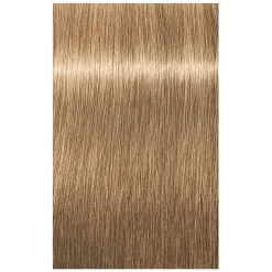 Schwarzkopf Professional Coloration permanente Igora Royal 8-4 blond clair beige Outlet