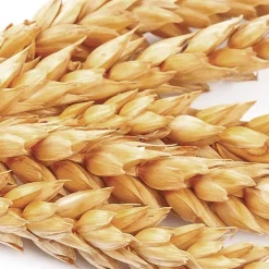 Patrice Mulato Crème nutritive sans rinçage pour cheveux secs