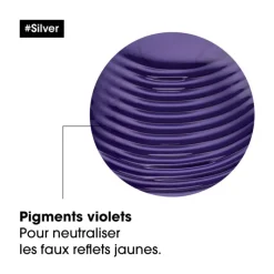 L’Oréal Professionnel Paris Duo recharge déjaunissant Silver + shampooing 500ml Best