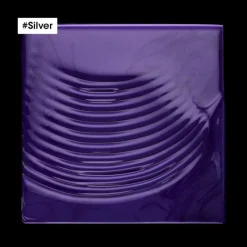 L’Oréal Professionnel Paris Duo recharge déjaunissant Silver + shampooing 500ml Best