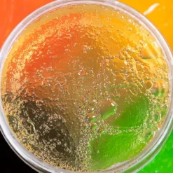 Le Labo Shandrani Gelée à l'aloé vera et tea tree Aloe Locks Best