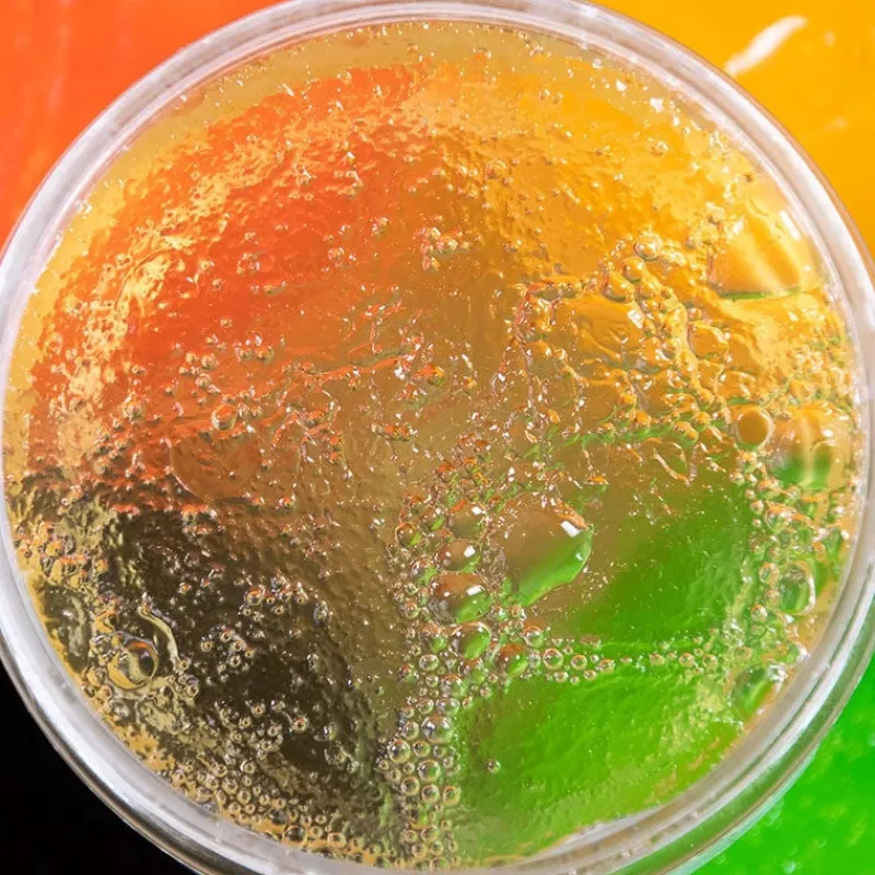 Le Labo Shandrani Gelée à l'aloé vera et tea tree Aloe Locks Best