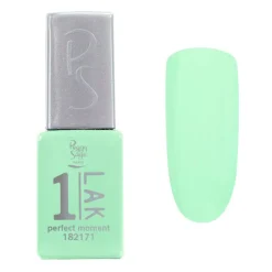 Peggy Sage 1-LAK vernis semi-permanent 3 en 1 perfect moment Online