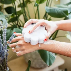 Spongellé Éponge de bain infusée lavande Française Hot