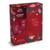Wella Professionals Rituel Ultimate Repair Hot