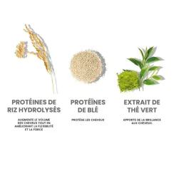 Eleven Australia Routine nourrissante Repair My Hair Hot