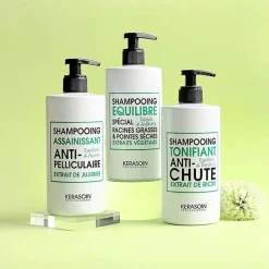 Kerasoin Professionnel Shampooing assainissant anti-pelliculaire Hot