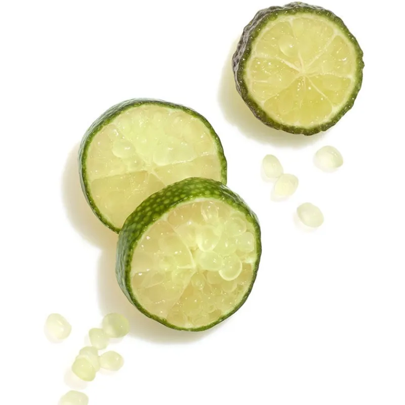 Wella Professionals Shampooing cheveux colorés épais Invigo Color Brilliance 1000ml