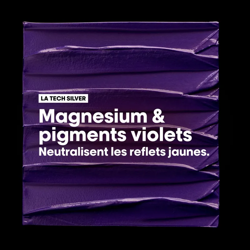 L’Oréal Professionnel Paris Shampooing déjaunissant Silver 500 ml Outlet