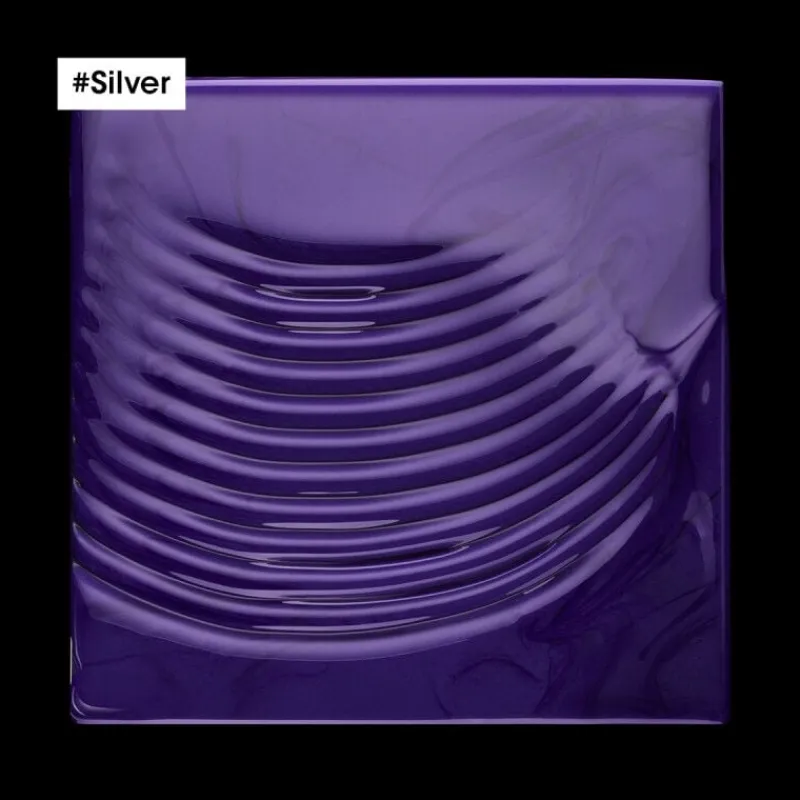 L’Oréal Professionnel Paris Shampooing déjaunissant Silver 300 ml