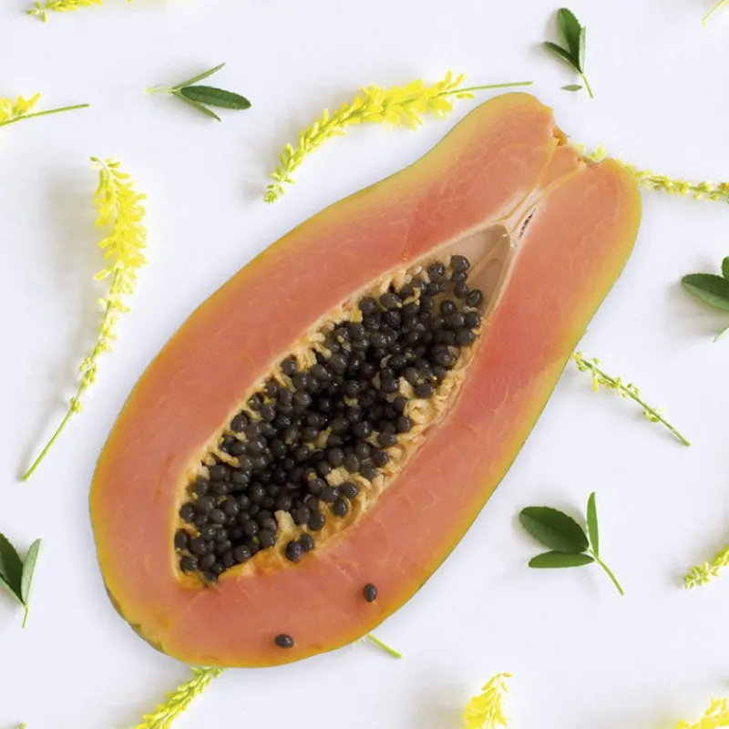 Patrice Mulato Shampooing dynamisant pour cheveux ondulés et bouclés Best