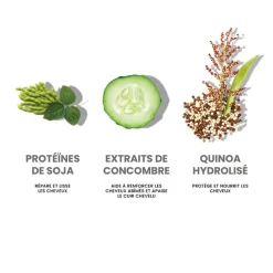 Eleven Australia Shampooing lissant Smooth Me Now 500ml Discount