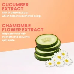 Eleven Australia Shampooing ultra-riche et léger Miracle Hair Treatment Hot