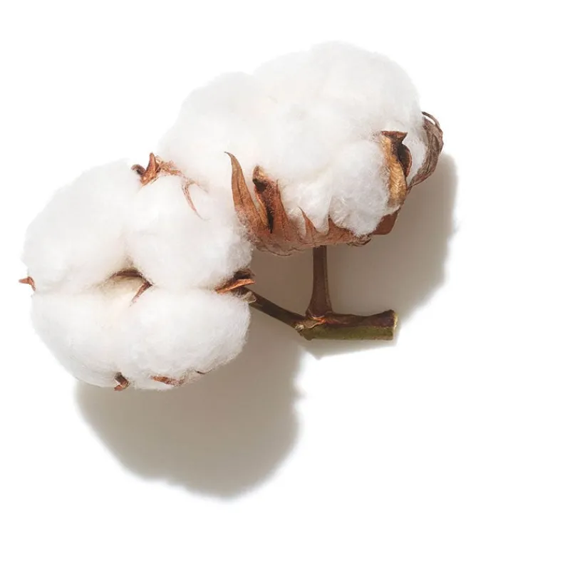 Wella Professionals Shampooing volume Invigo Volume Boost 500ml Clearance