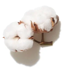 Wella Professionals Shampooing volume Invigo Volume Boost 300ml Clearance