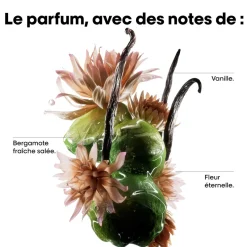 L’Oréal Professionnel Paris Sérum réparateur à rincer Absolut Repair Molecular New
